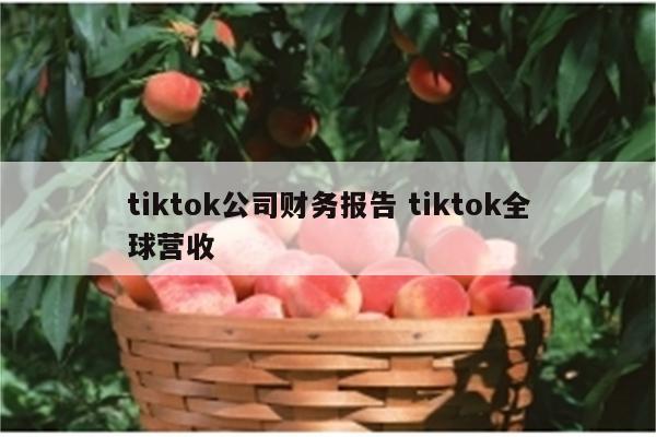 tiktok公司财务报告 tiktok全球营收