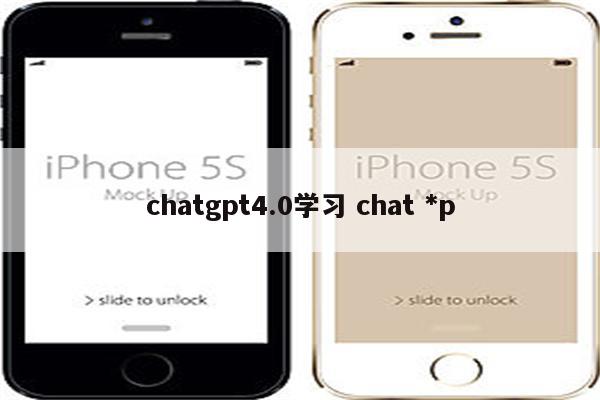 chatgpt4.0学习 chat *p