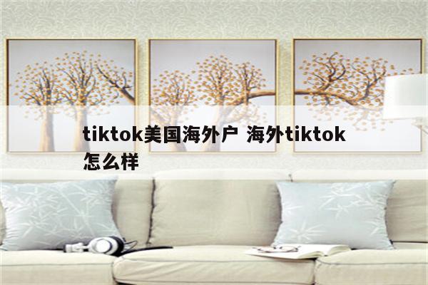 tiktok美国海外户 海外tiktok怎么样