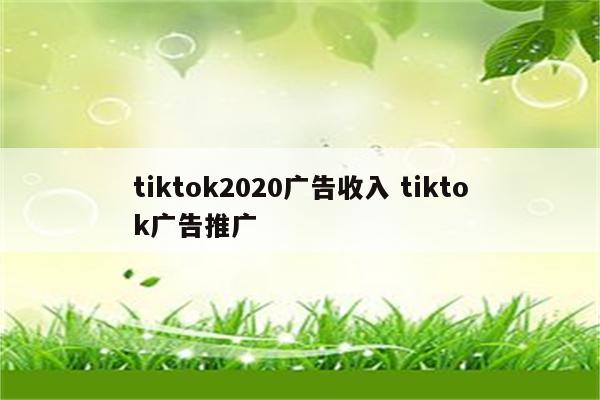 tiktok2020广告收入 tiktok广告推广