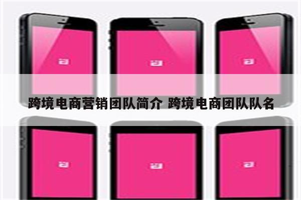跨境电商营销团队简介 跨境电商团队队名