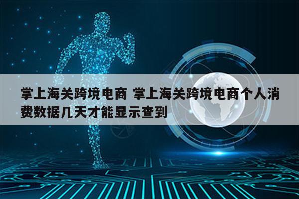 掌上海关跨境电商 掌上海关跨境电商个人消费数据几天才能显示查到