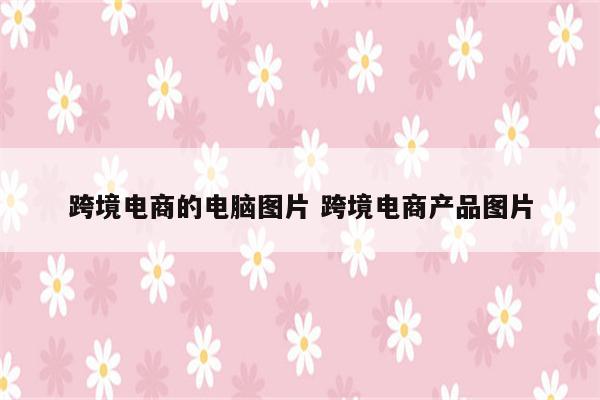 跨境电商的电脑图片 跨境电商产品图片