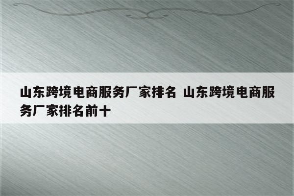 山东跨境电商服务厂家排名 山东跨境电商服务厂家排名前十