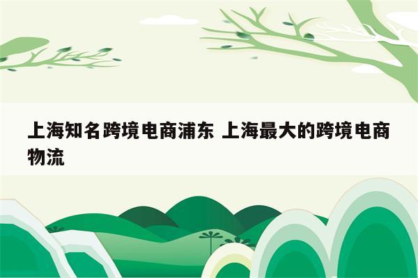 上海知名跨境电商浦东 上海最大的跨境电商物流
