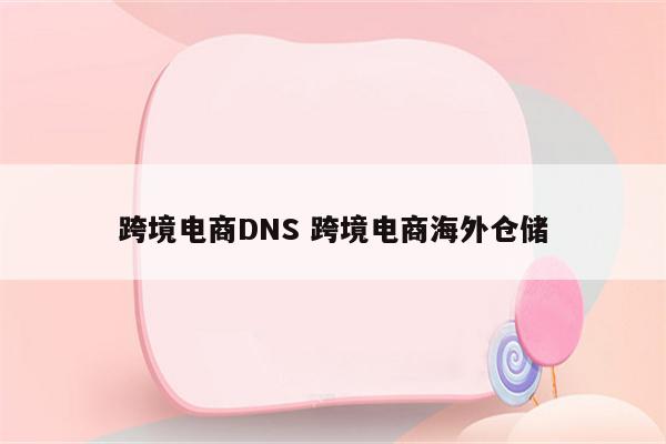 跨境电商DNS 跨境电商海外仓储