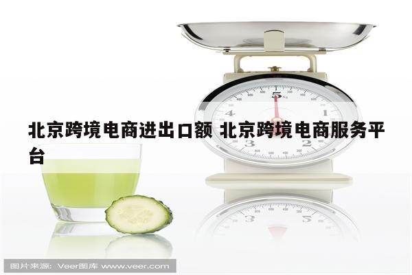 北京跨境电商进出口额 北京跨境电商服务平台