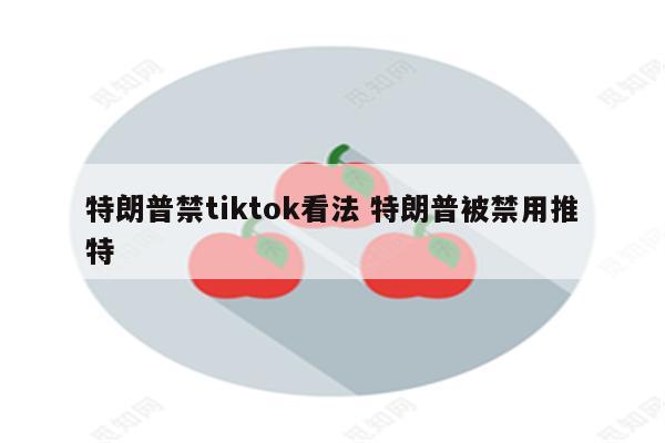 特朗普禁tiktok看法 特朗普被禁用推特