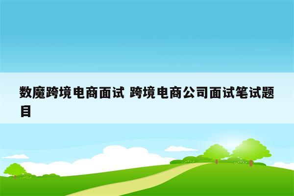 数魔跨境电商面试 跨境电商公司面试笔试题目