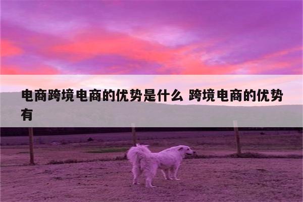 电商跨境电商的优势是什么 跨境电商的优势有