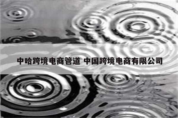 中哈跨境电商管道 中国跨境电商有限公司