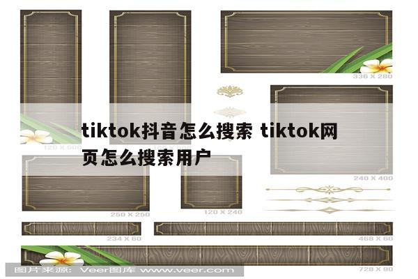 tiktok抖音怎么搜索 tiktok网页怎么搜索用户