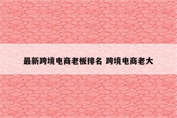 最新跨境电商老板排名 跨境电商老大