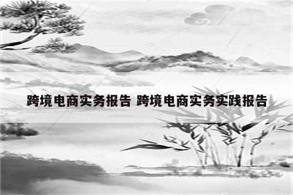 跨境电商实务报告 跨境电商实务实践报告