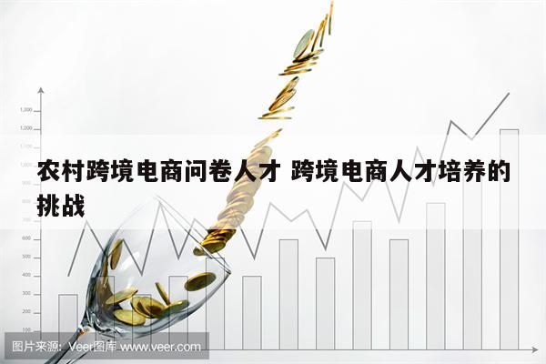 农村跨境电商问卷人才 跨境电商人才培养的挑战