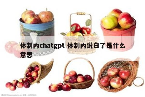 体制内chatgpt 体制内说白了是什么意思