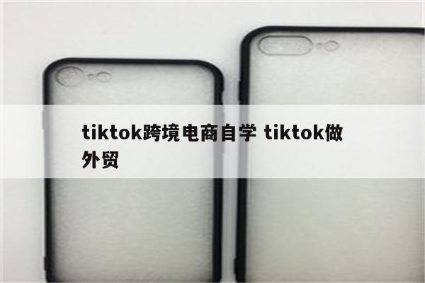 tiktok跨境电商自学 tiktok做外贸