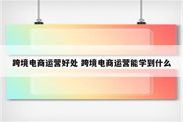 跨境电商运营好处 跨境电商运营能学到什么