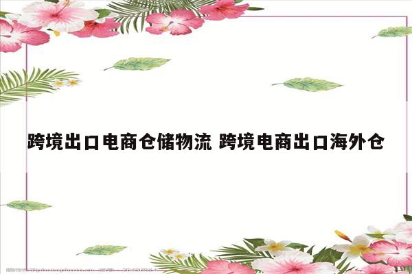 跨境出口电商仓储物流 跨境电商出口海外仓