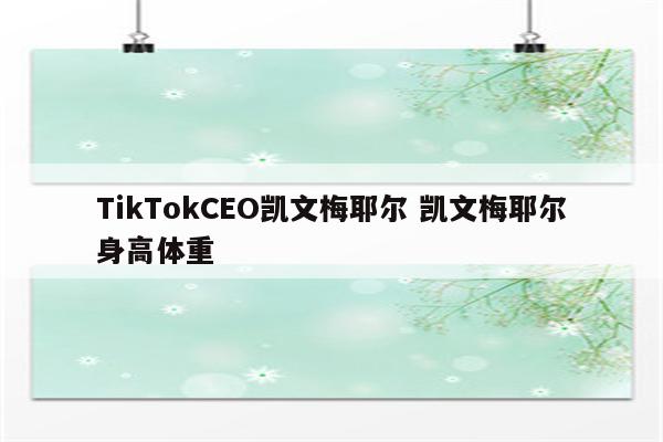 TikTokCEO凯文梅耶尔 凯文梅耶尔身高体重