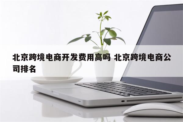 北京跨境电商开发费用高吗 北京跨境电商公司排名