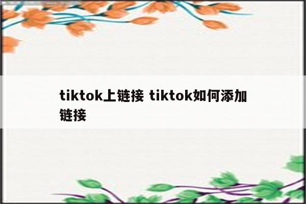 tiktok上链接 tiktok如何添加链接