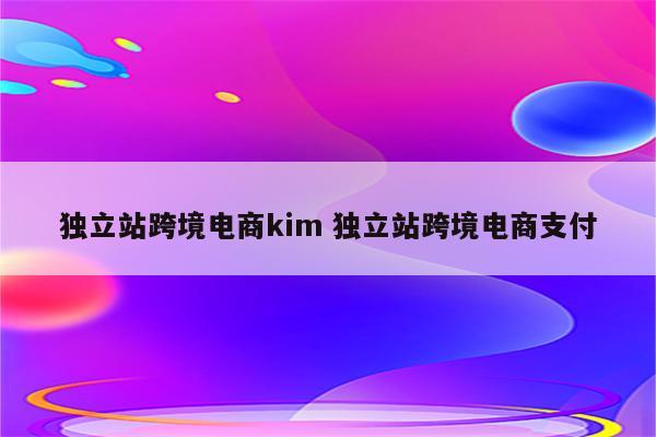 独立站跨境电商kim 独立站跨境电商支付