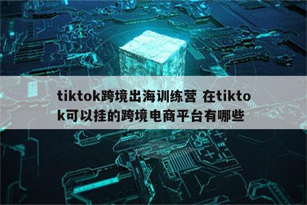 tiktok跨境出海训练营 在tiktok可以挂的跨境电商平台有哪些