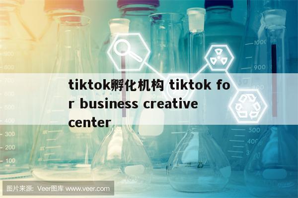 tiktok孵化机构 tiktok for business creative center