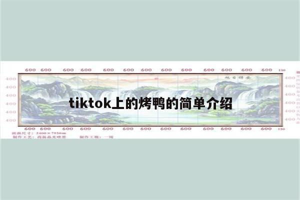 tiktok上的烤鸭的简单介绍