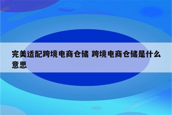 完美适配跨境电商仓储 跨境电商仓储是什么意思