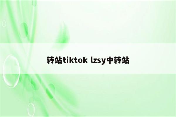 转站tiktok lzsy中转站