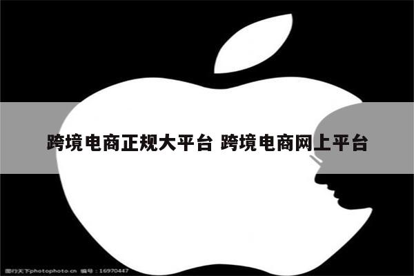 跨境电商正规大平台 跨境电商网上平台