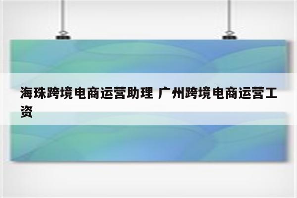 海珠跨境电商运营助理 广州跨境电商运营工资
