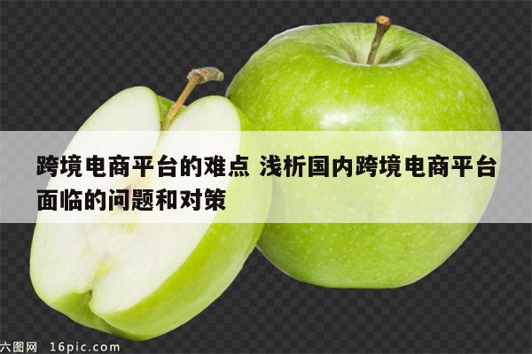 跨境电商平台的难点 浅析国内跨境电商平台面临的问题和对策