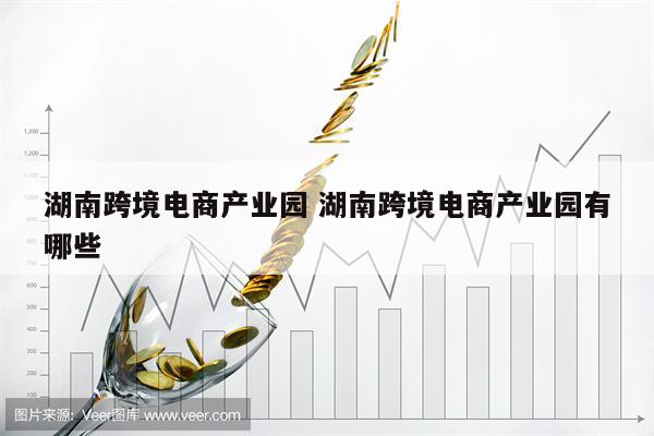 湖南跨境电商产业园 湖南跨境电商产业园有哪些