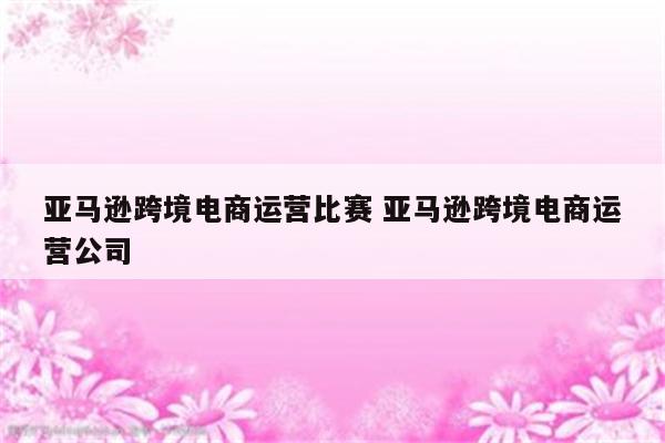 亚马逊跨境电商运营比赛 亚马逊跨境电商运营公司