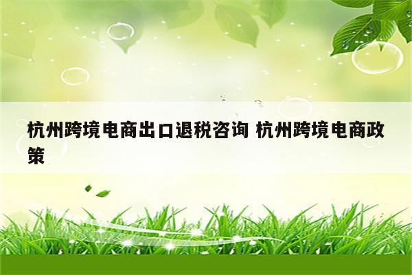 杭州跨境电商出口退税咨询 杭州跨境电商政策
