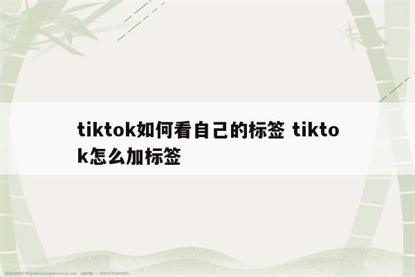 tiktok如何看自己的标签 tiktok怎么加标签