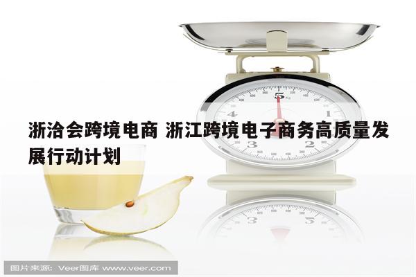 浙洽会跨境电商 浙江跨境电子商务高质量发展行动计划