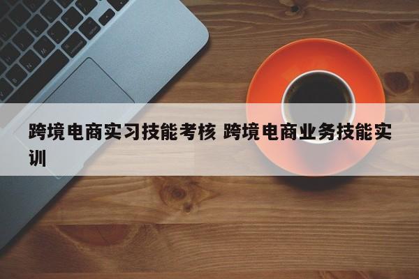 跨境电商实习技能考核 跨境电商业务技能实训