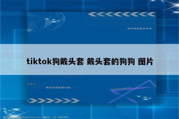 tiktok狗戴头套 戴头套的狗狗 图片