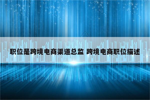 职位是跨境电商渠道总监 跨境电商职位描述