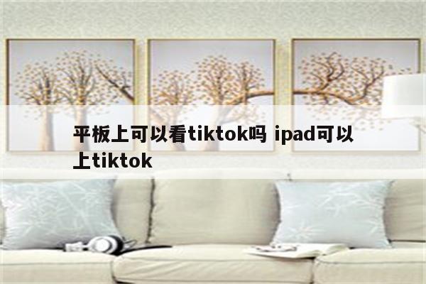 平板上可以看tiktok吗 ipad可以上tiktok