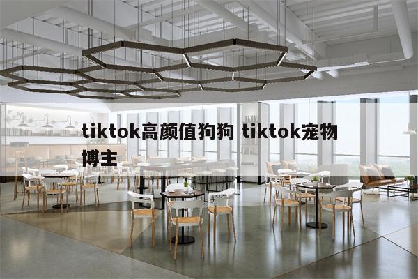 tiktok高颜值狗狗 tiktok宠物博主