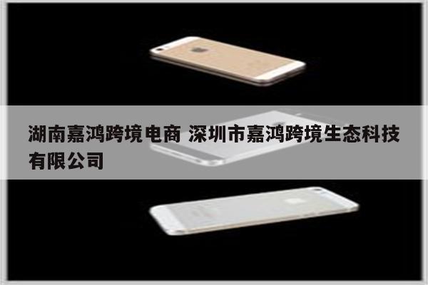 湖南嘉鸿跨境电商 深圳市嘉鸿跨境生态科技有限公司