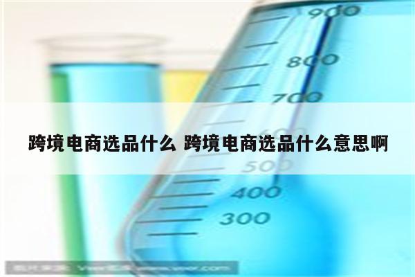 跨境电商选品什么 跨境电商选品什么意思啊