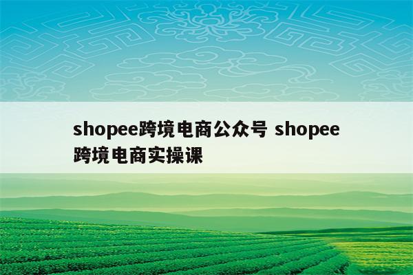 shopee跨境电商公众号 shopee跨境电商实操课