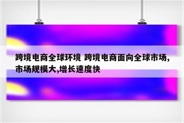 跨境电商全球环境 跨境电商面向全球市场,市场规模大,增长速度快
