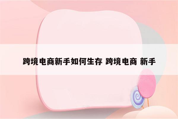 跨境电商新手如何生存 跨境电商 新手